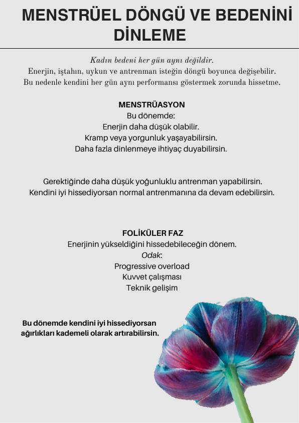 Goddess Project menstrual döngü ve bedeni dinleme sayfası